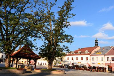 Krosno, rynek, widok na fontannę i drzewa