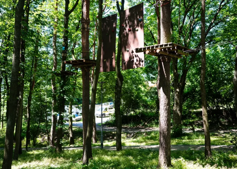 Trasa między drzewami Parku Linowego